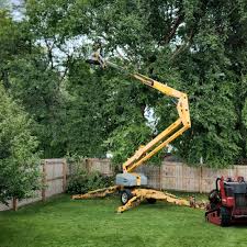 Best Arborist Consultation Services  in Riverton, NJ