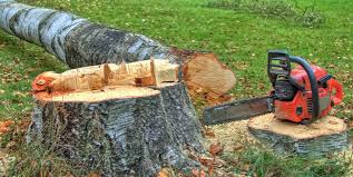 Best Tree Preservation Services  in Riverton, NJ
