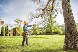 Best Commercial Tree Services  in Riverton, NJ
