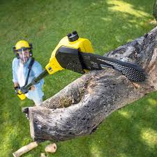 Best Sod Installation  in Riverton, NJ